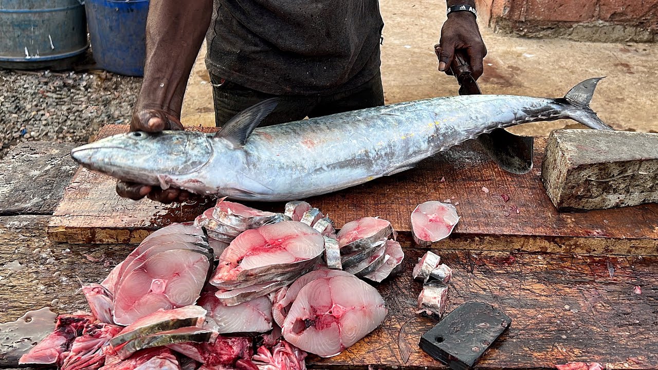 The Secrets of Fresh Kingfish - A Deep Dive