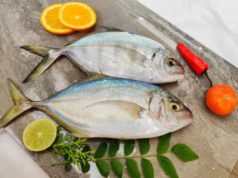 Jesh Fish - A Unique Delicacy from the Arabian Gulf