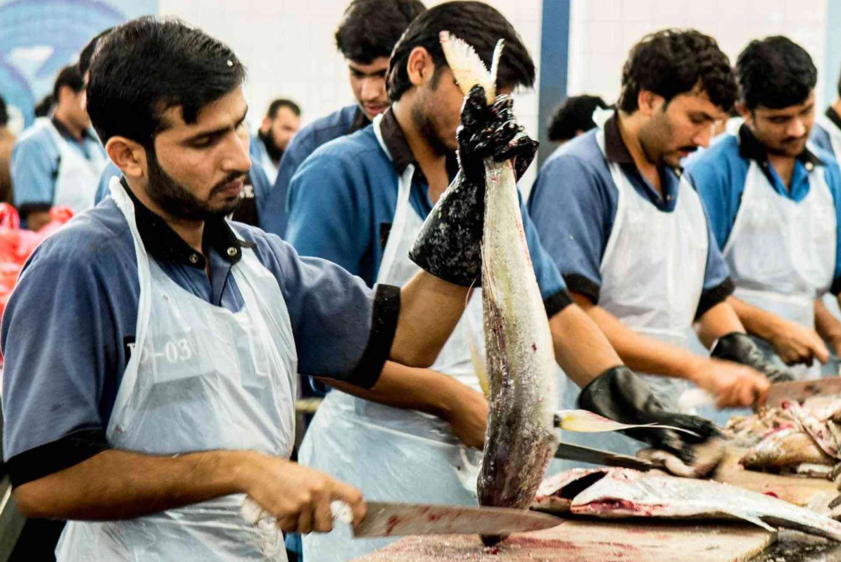 Fish Shop Business in Dubai - Starting and Succeeding