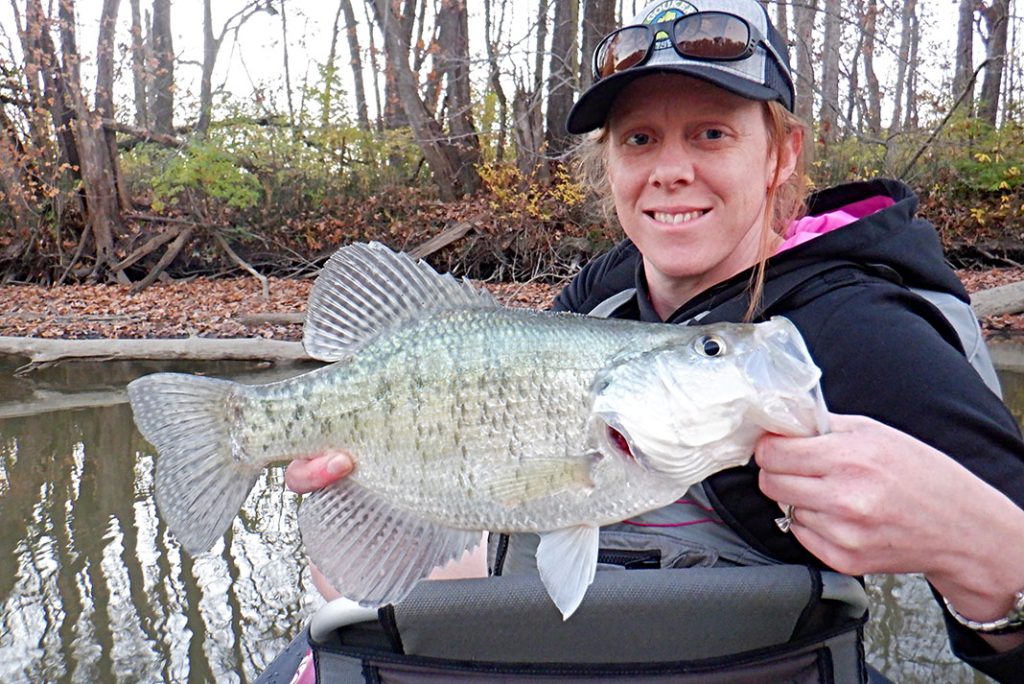 Crappie Fish