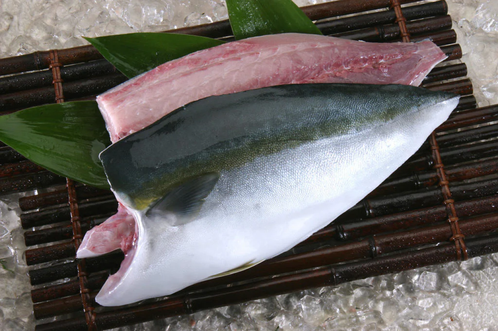The Delicate Delight of Hamachi Fish - Everything You Need to Know