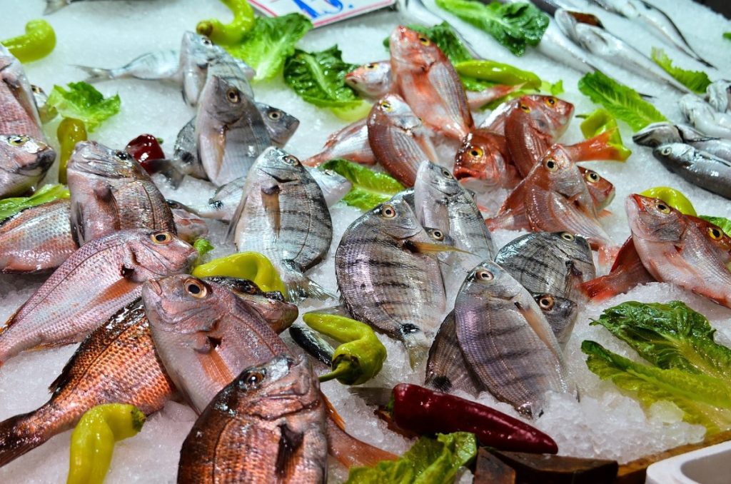 Modha Fish