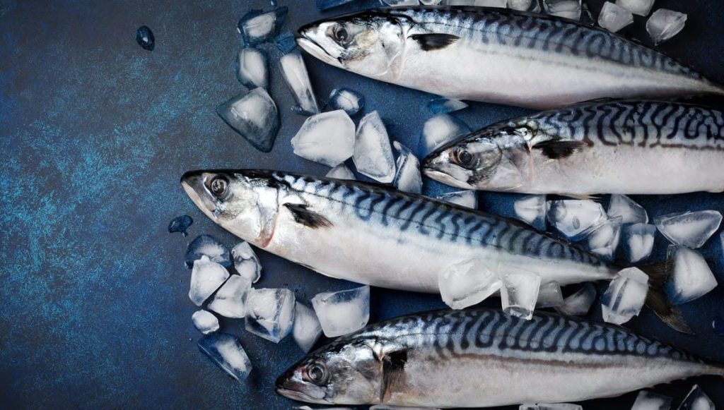 Mackerel Fish - Nutrition, Benefits, and Culinary Uses