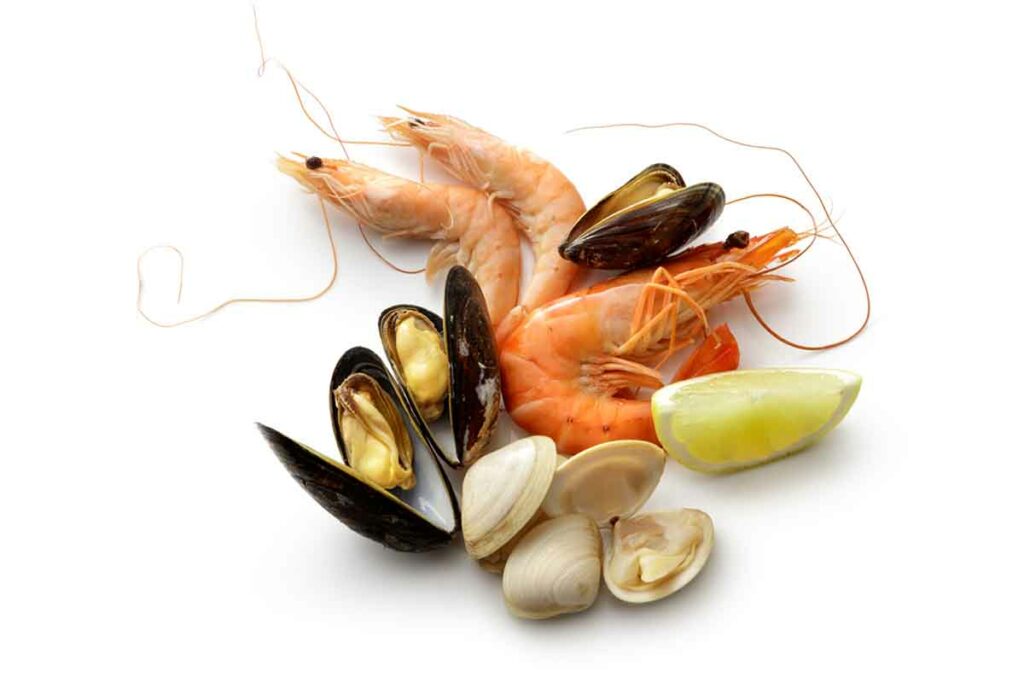 Shellfish A Simple Guide to Types, Benefits, and Cooking Tips