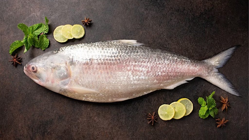 Why Is Hilsa Fish So Expensive?