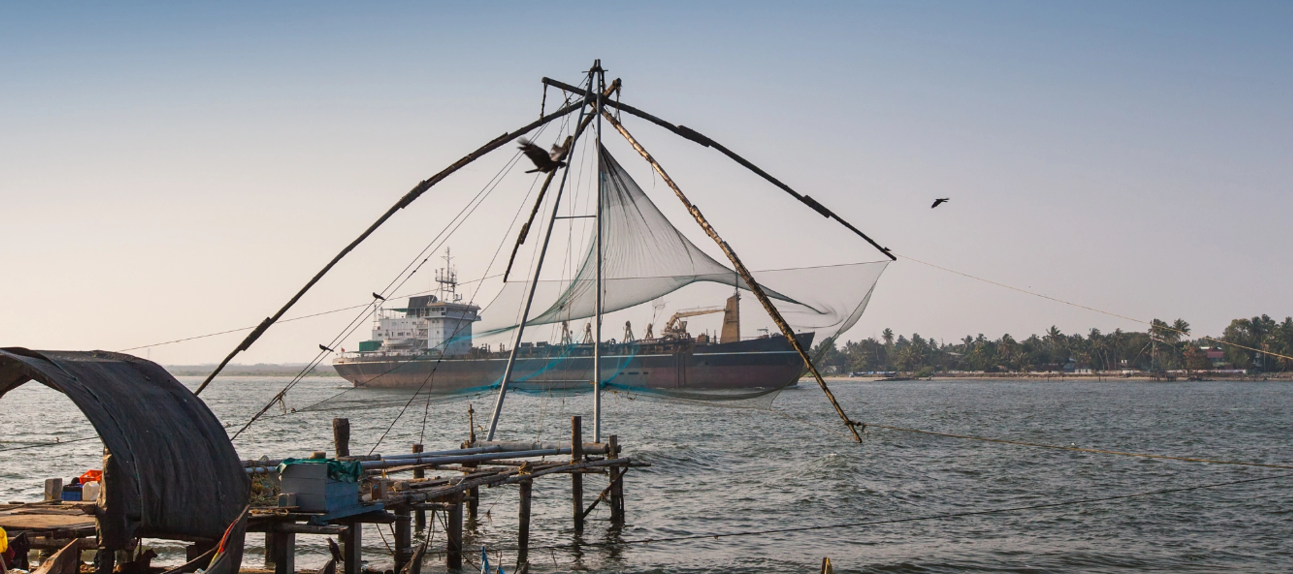 How Climate Change Is Deepening Labor Risks in Industrial Fisheries